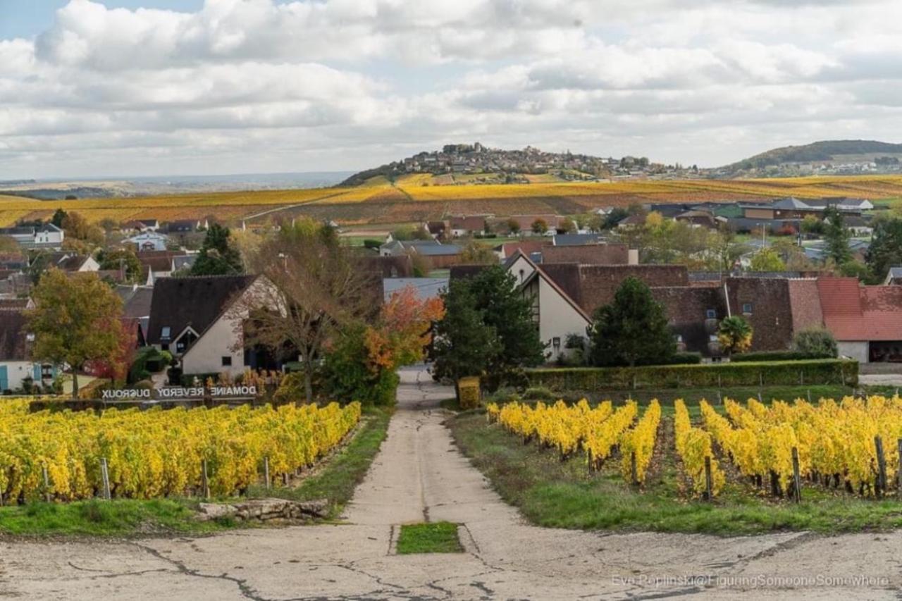 Villa Le Logis St Pere Sancerre Exterior foto