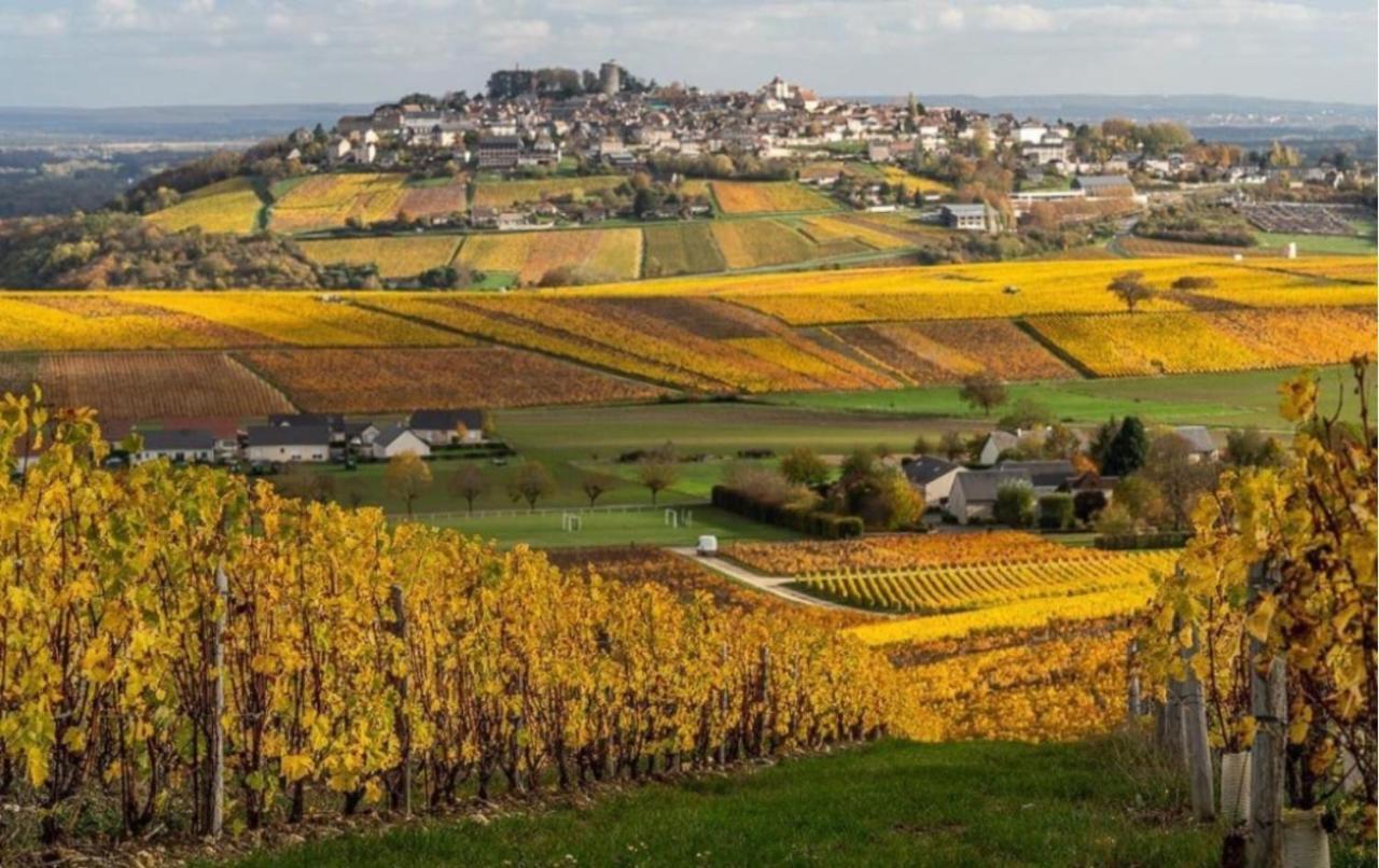 Villa Le Logis St Pere Sancerre Exterior foto